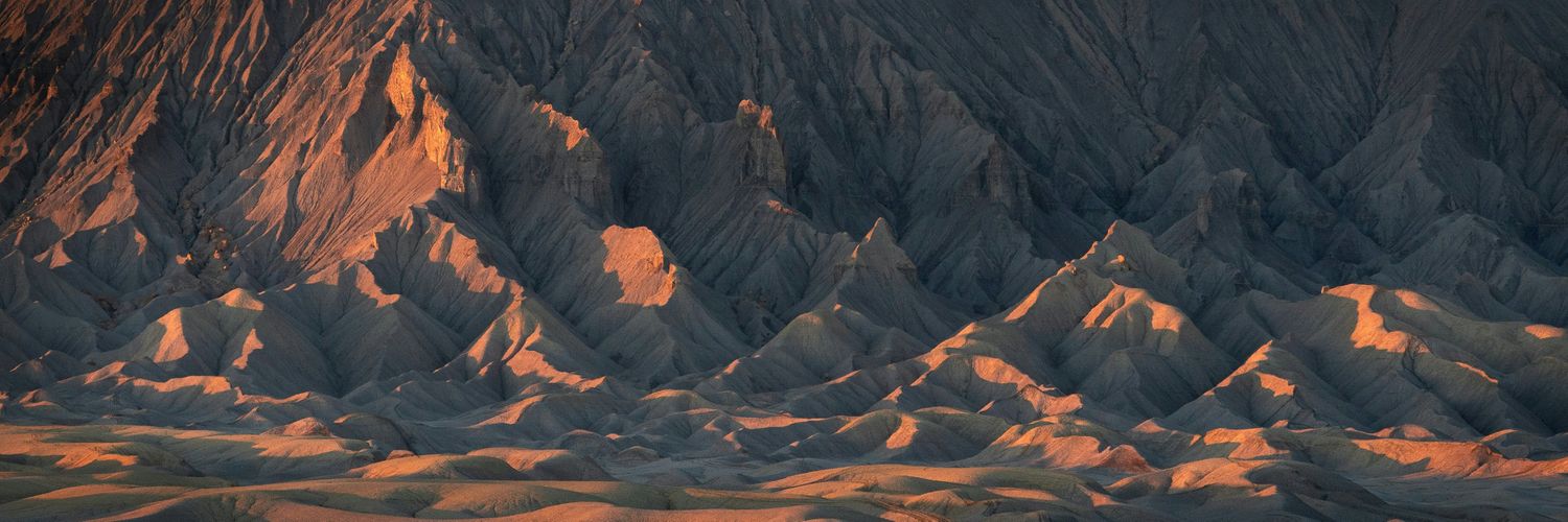 Mario Rose banner