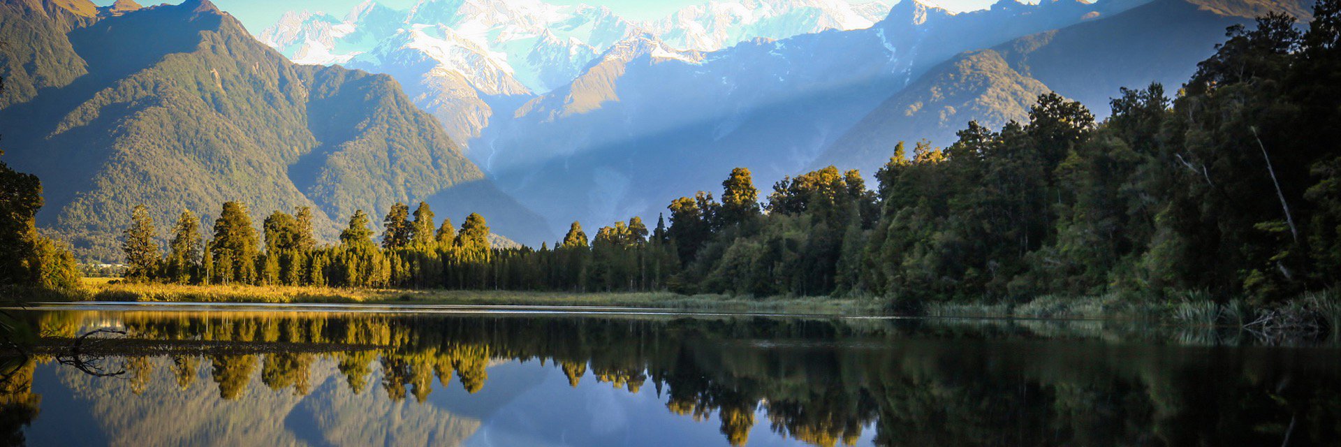 Simone Tilley banner