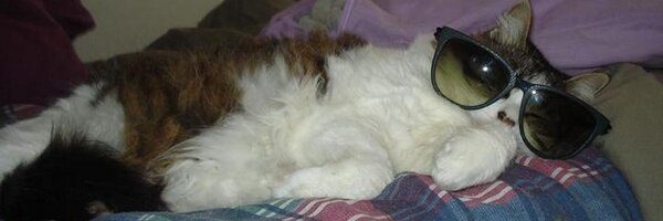 AAlbara Profile Banner