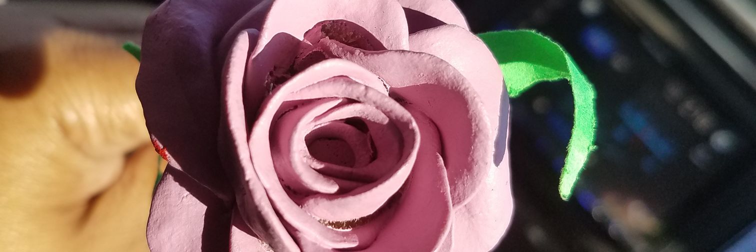 ReneeCheairs's profile banner image