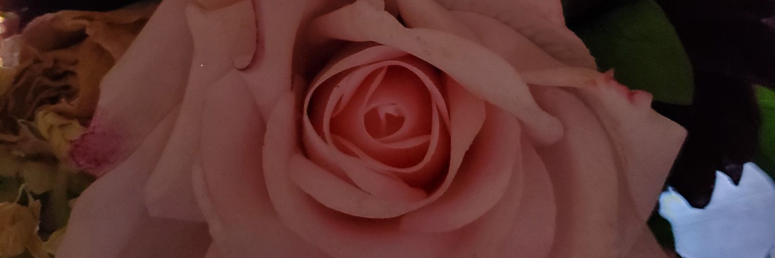 Colby1421's profile banner image