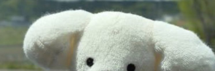 aaroncto's profile banner image