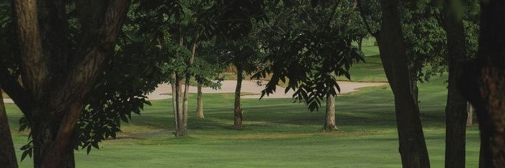 pejoy🍅 banner