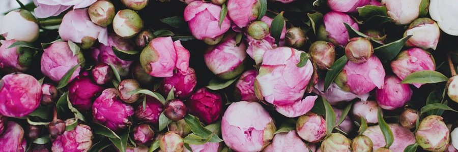 xnebvla's profile banner image