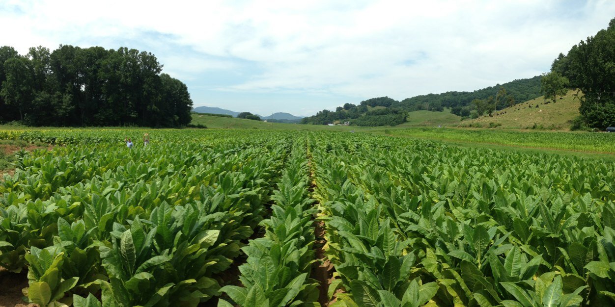 Kaleb Rathbone banner