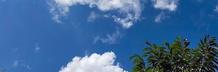 blubearrysl's profile banner image