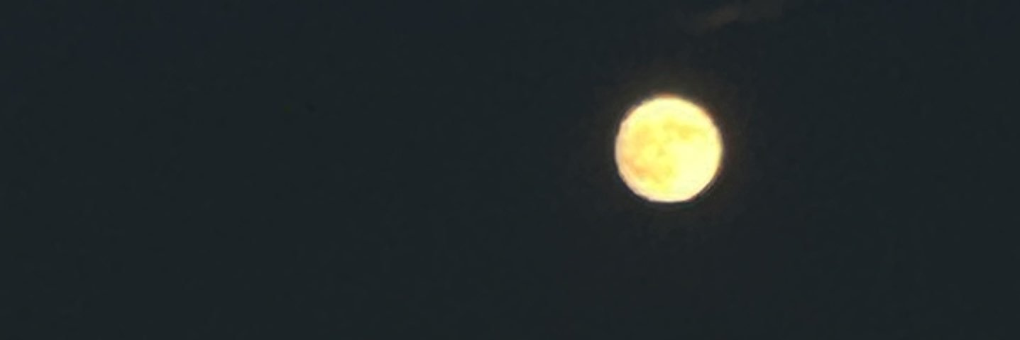 Niso_UDOON's profile banner image