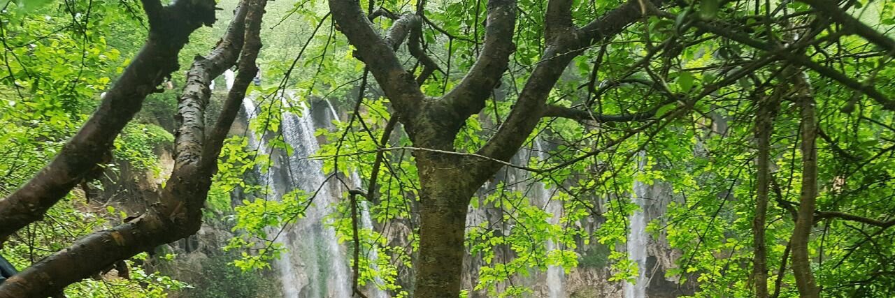 زهر الياسمين 🦋 banner