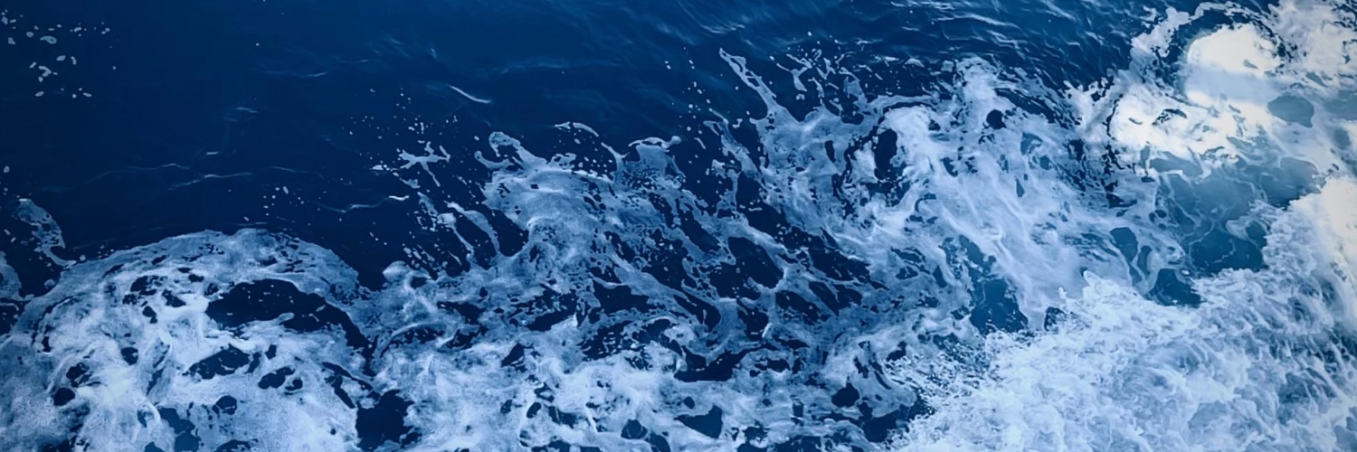 TradePirate banner