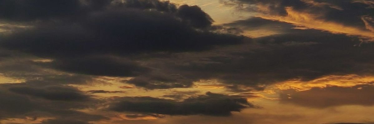 پانـْی🤍 banner