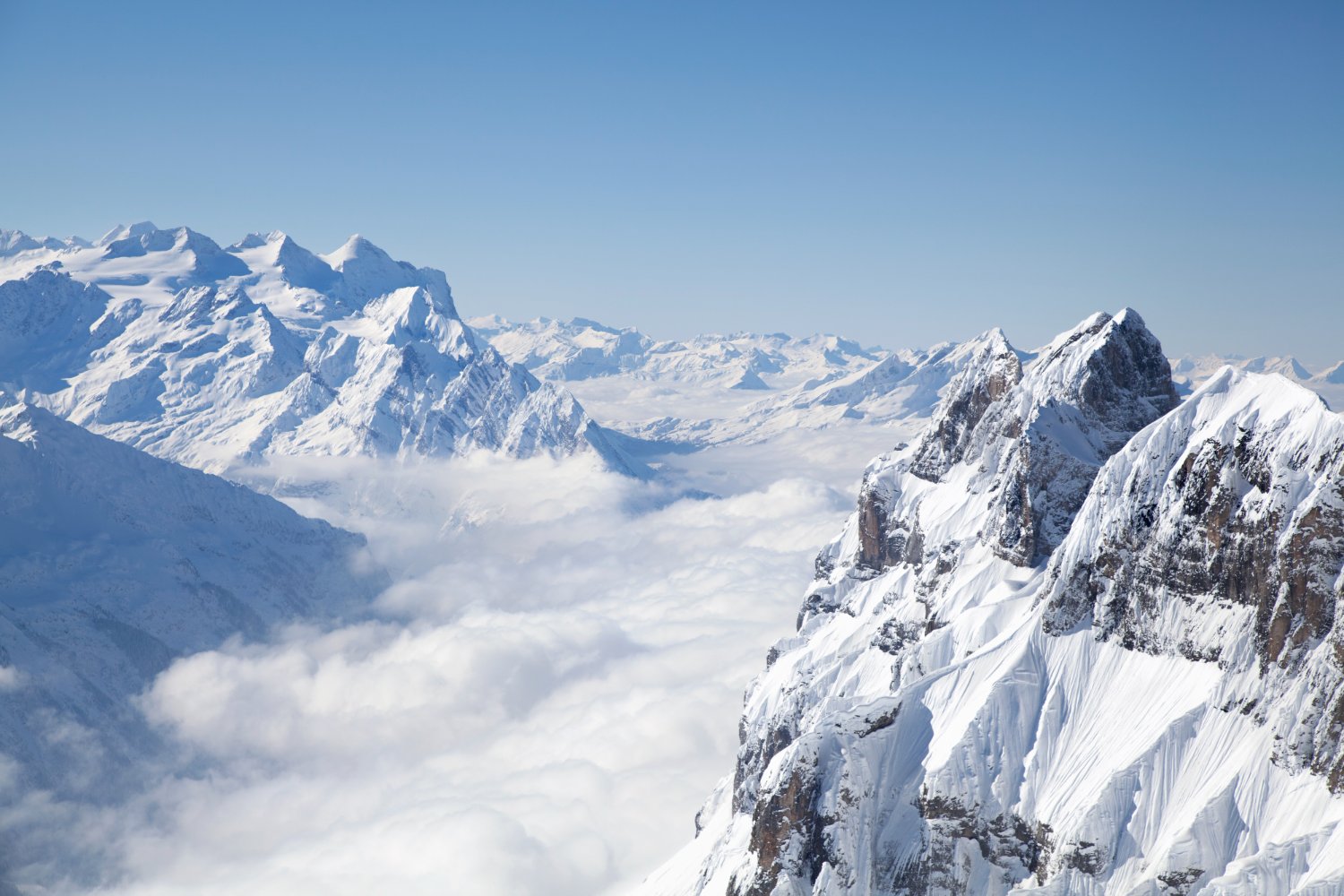 The Hashgraph Group banner