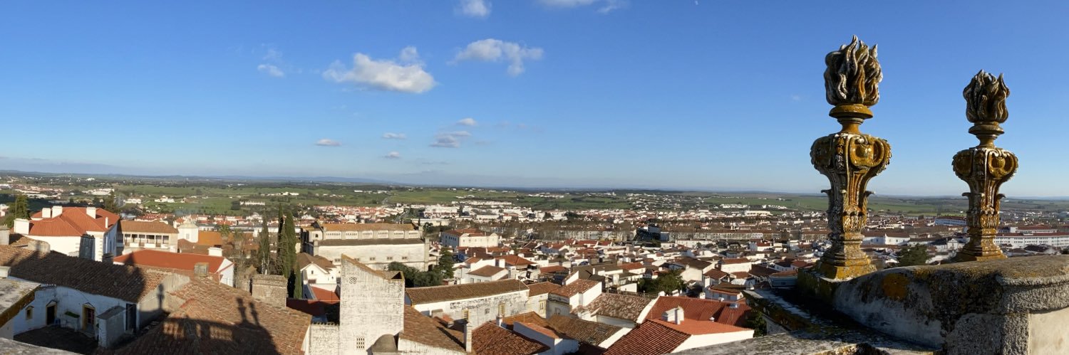 Pedro de Castro Lazera Netto banner