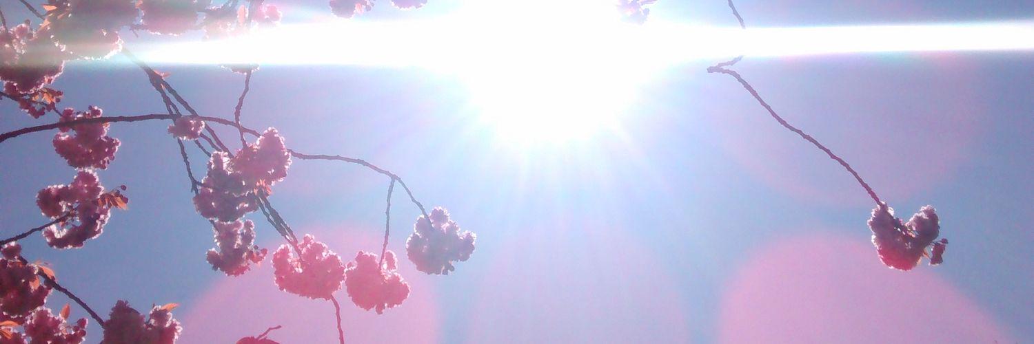 Roonespism28's profile banner image