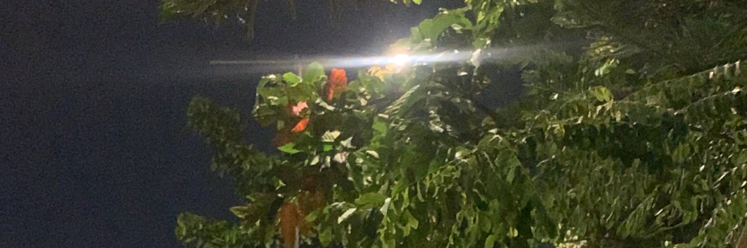 itsmebulann's profile banner image