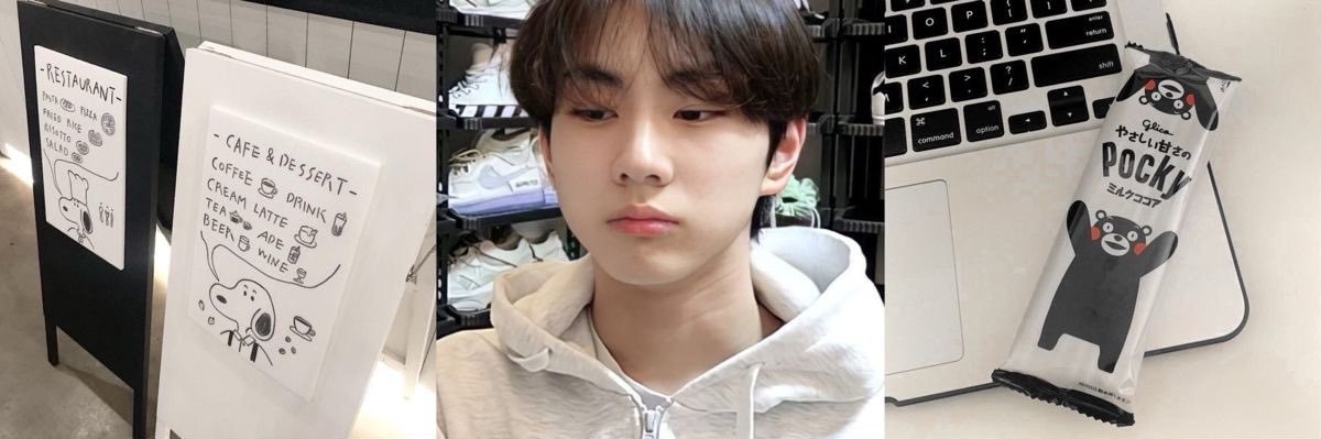 gardenie 🦭 banner