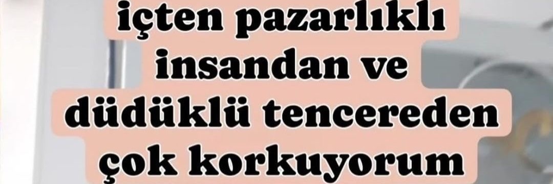 flormar sheer up banner