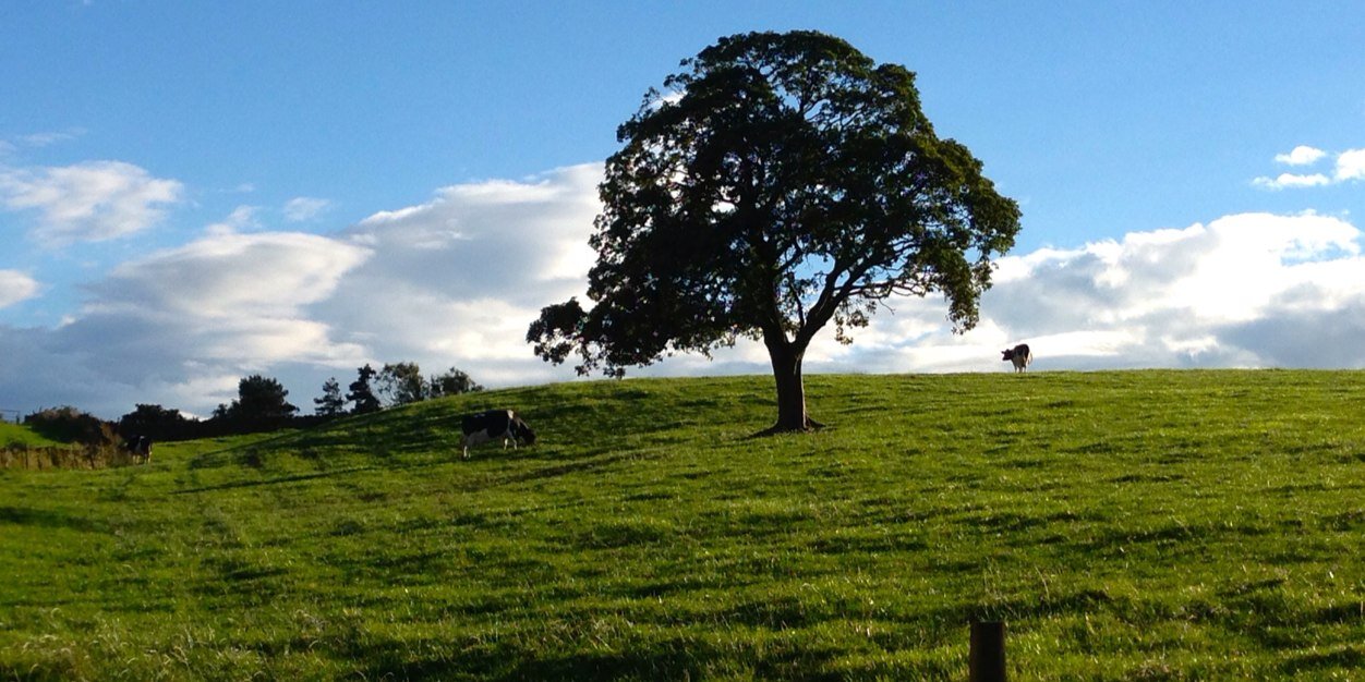 Gleadless Med Centre banner