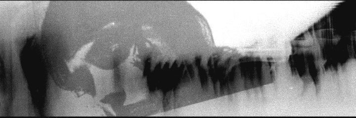 𝙏𝙧𝘪𝘹↾≀ banner