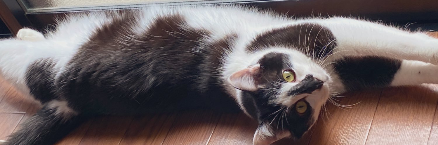 chuxxxta's profile banner image