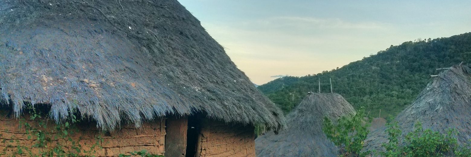 UnPonquesito's profile banner image
