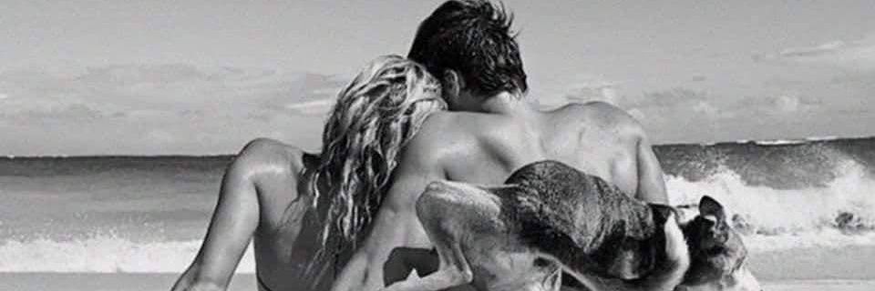 exibeportugal👠👠🔞🔞🍉🍉💐 banner