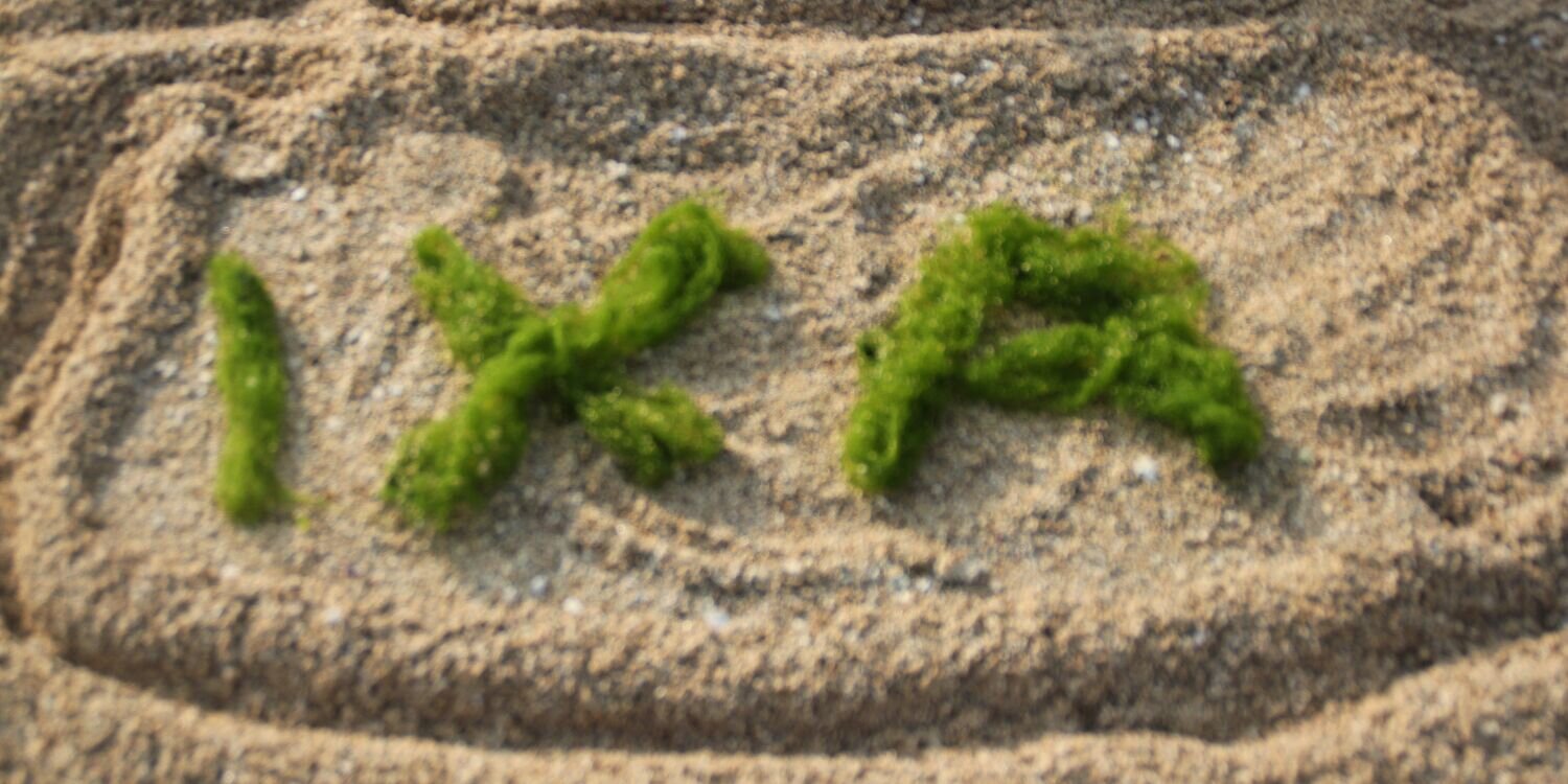 SOAK_1's profile banner image