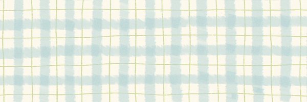 pxdivx Profile Banner