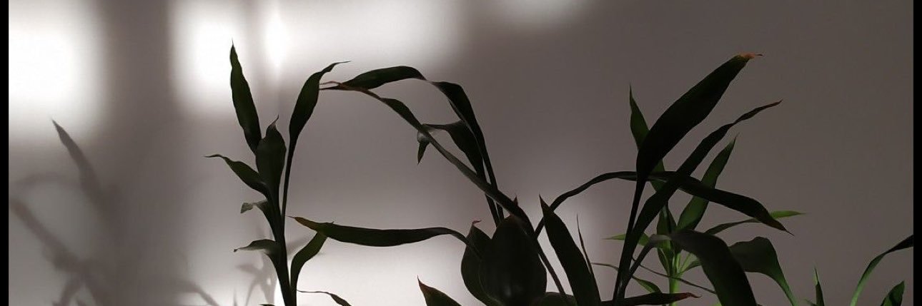 Uoooolil's profile banner image