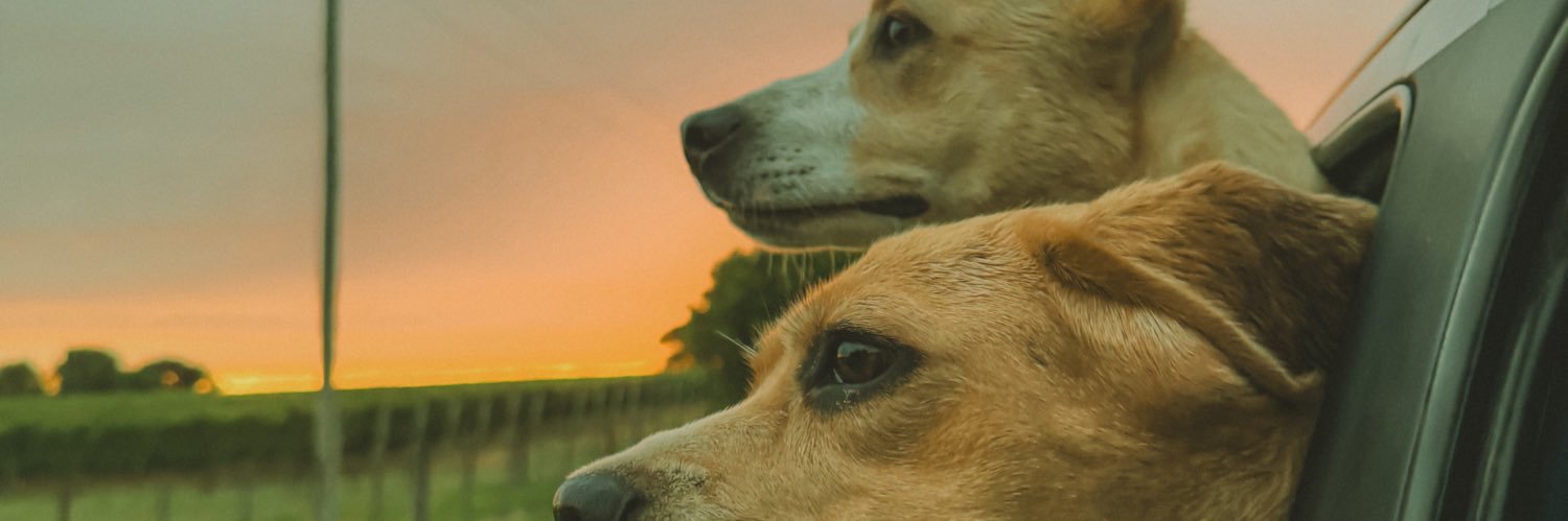 CharJuEt's profile banner image