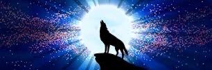 Street Wolf banner