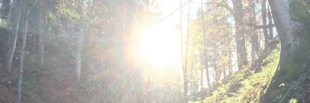 Hipfi's profile banner image