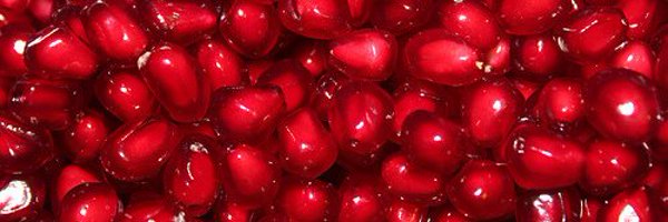 srtaLux Profile Banner