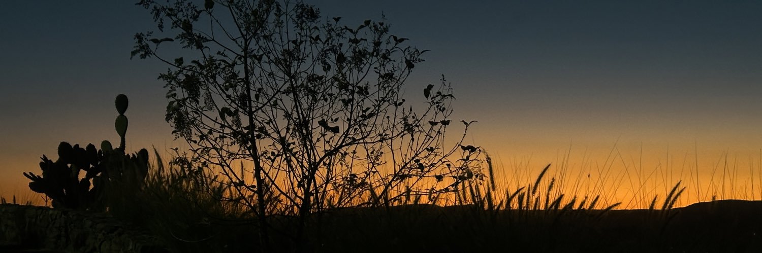 FridaOdeet's profile banner image