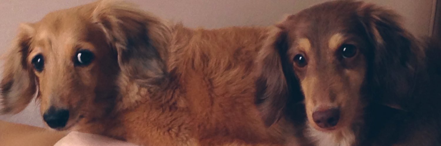 bemko26's profile banner image