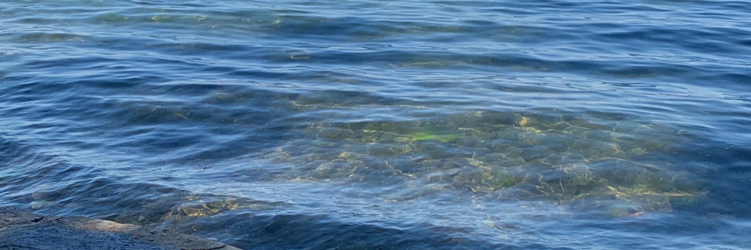 Gseneler's profile banner image