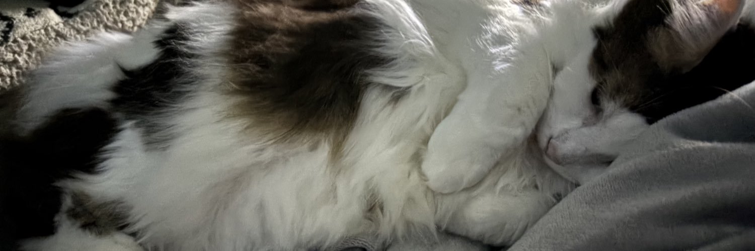 Shoobaee's profile banner image