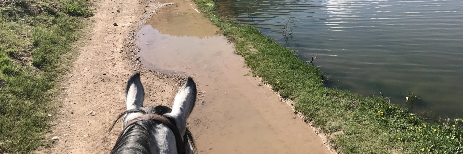 crutah's profile banner image