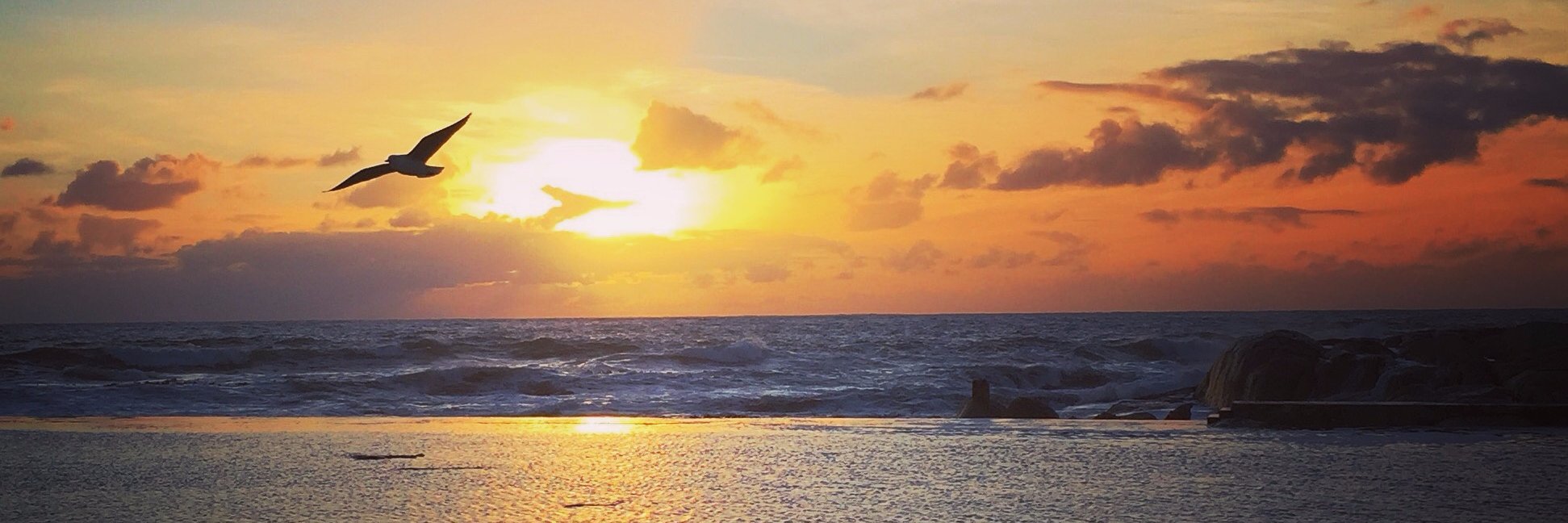 RobynDMunt's profile banner image