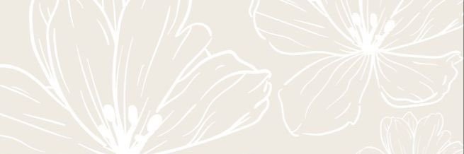 きぬ banner