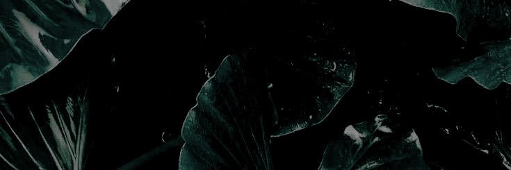 milfbotanist's profile banner image