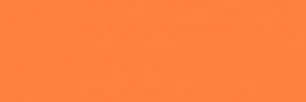 Javier Salavarrieta banner