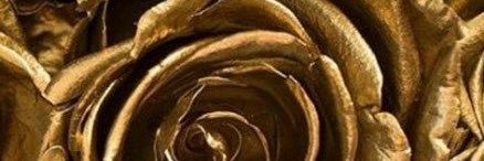 rjc4270's profile banner image