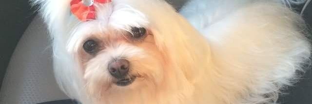 Kimberly Barrett banner