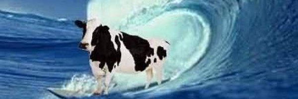 xu404203 Profile Banner