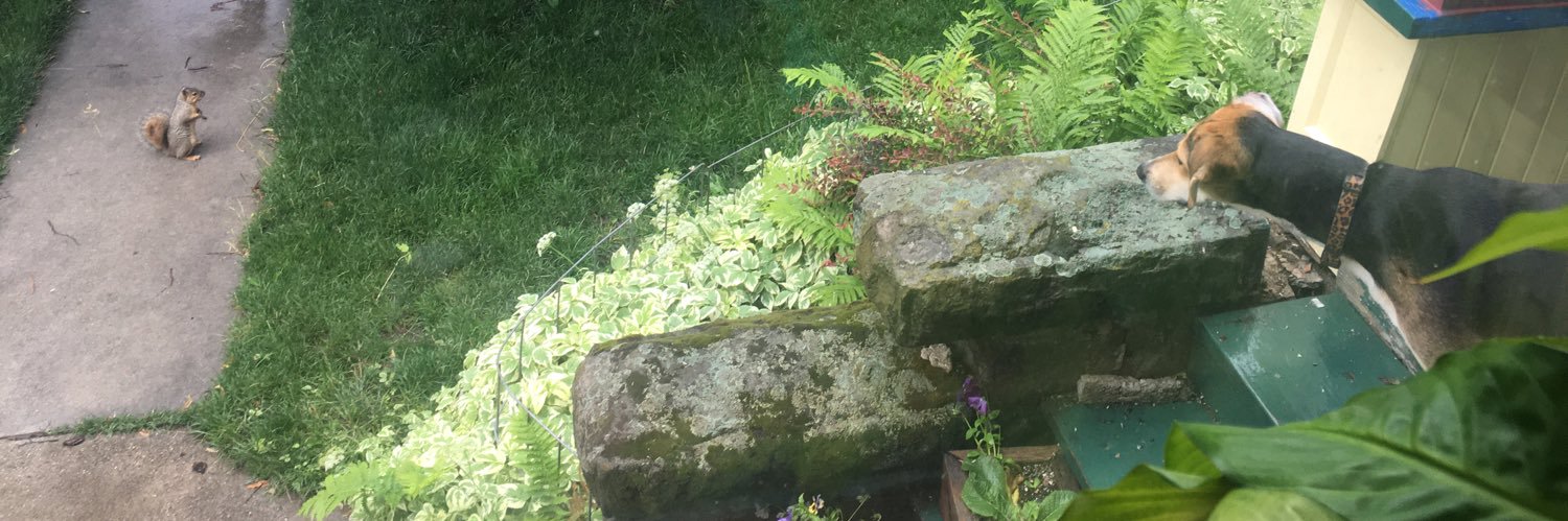 MatthewRyan208's profile banner image