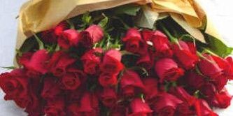 windaarhmw's profile banner image