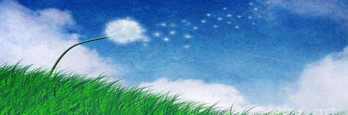 Sasha Larami 🇺🇸 banner