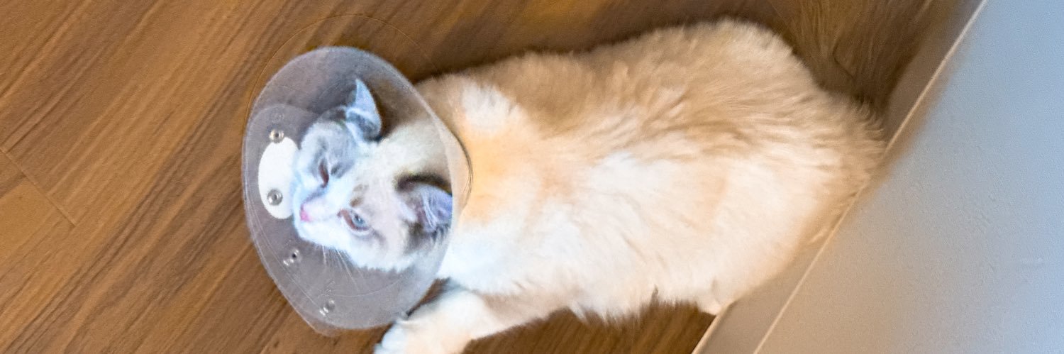 さくや しか@「お隣さまに恋をして。」連載中 banner