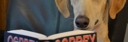 Matthew Corrigan banner