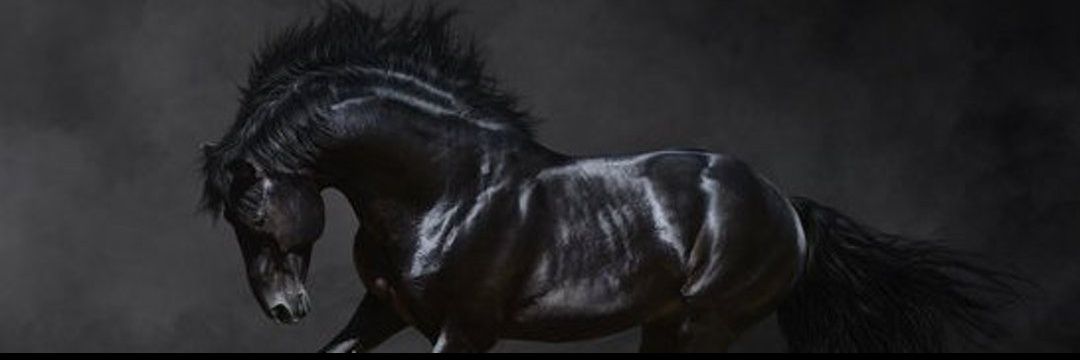 Akash Top💳💸💰8388061054 four days📞 banner